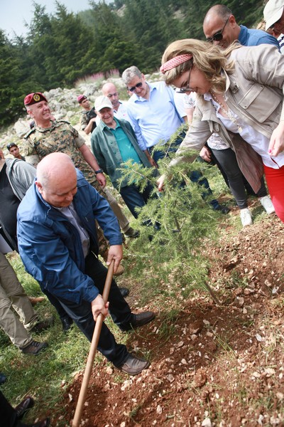 Cedar tree in memory of the Lebanese Commandos Regiment founder